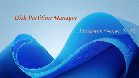 Partition Manager Server